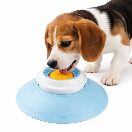 Make Mealtime Smarter, Slower, and More Enjoyable for Cats & Dogs